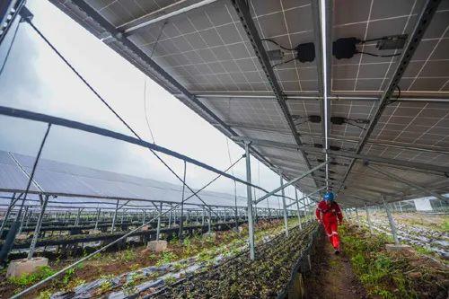 中國十三省最大光伏電站在這里！欽州康熙嶺的光伏電站能排上號了嗎？